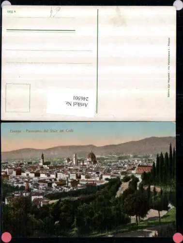 246501,Firenze Florenz Totale Panorama dal Viale de Colli