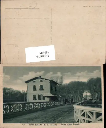446695,Toscana Pisa Reale Tenuto di S. Rossore Ponte delle Trombe Brücke