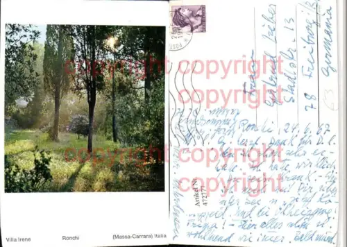 472777,Toscana Massa-Carrara Ronchi Garten Motiv Bäume