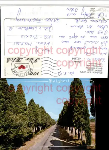 472808,Toscana Livorno Bolgheri San Guido Viale di Cipressi Zypressen