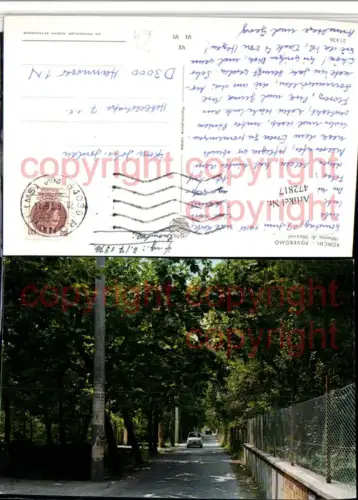 472817,Toscana Massa-Carrara Marina di Massa Ronchi Poveromo Straßenpartie