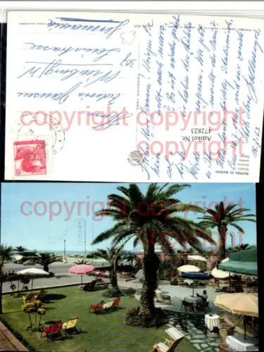 472823,Toscana Massa-Carrara Marina di Massa Giardini Palmen