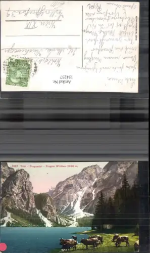 154237,Trentino Pragsertal Pragser Wildsee m. Kühen