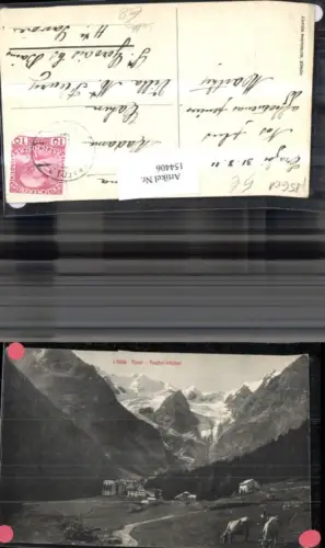 154406,Trentino Trafoi Hotel 1911 Sulden Ansicht m. Kühe