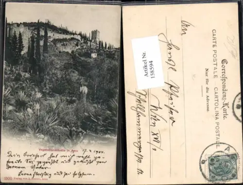 158594,Trentino Vegetationststudie bei Arco 1900