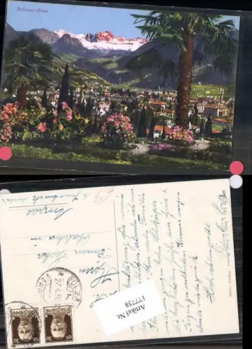177758,Trentino Bozen Gries Bolzano Palme pub Fränzl 500-21