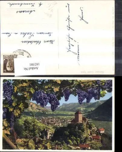 182581,Trentino Merano Castel Tyrol Meran Schloss Tirol m. Weinranke i. Vordergrund Wein Weintrauben