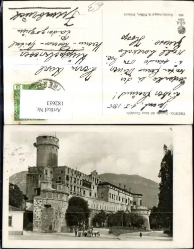 182653,Trentino Trento Castello del buon Consiglio Schloss m. Brunnen Kuh Personen i. Vordergrund