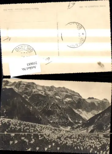210683,Trentino Dolomiten Bolzano Bozen Bergansicht m. Krokuswiese i. Vordergrund
