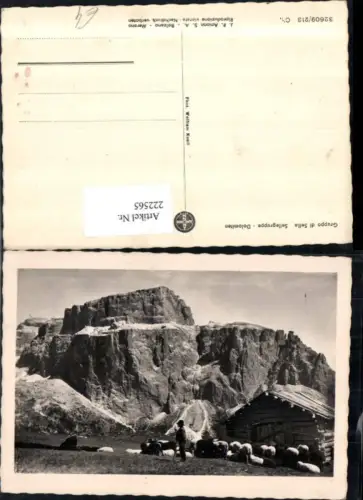 222565,Trentino Sellagruppe Dolomiten Bergkulisse Schäfer Hirte Schafe b. Wolkenstein