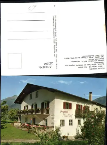 222603,Trentino Pension Haslhof b. Tabland Post Staben
