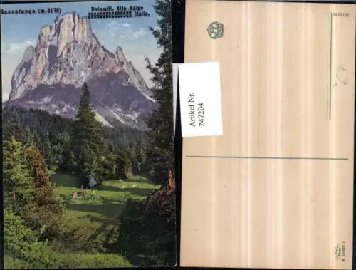 247204,Trentino Bolzano Sassolungo Bergkulisse b. St. Christina in Gröden pub Joh. F. Amonn 11633 n