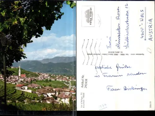 292438,Trentino Bolzano Termeno Tramin an d. Weinstraße Totale