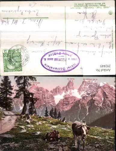 292445,Trentino Bolzano Blick vom Wege Plätzwiese Schluderbach auf Monte Cristallo Bergkulisse