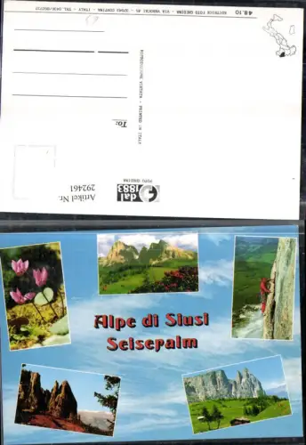 292461,Trentino Bolzano Alpe di Siusi Seiseralm Kletterer Alpenveilchen b. Seis Mehrbildkarte