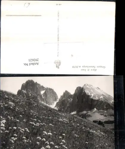 292621,Trentino Bolzano Alpe di Siusi Gruppo Sassolungo Bergkulisse Blumenwiese