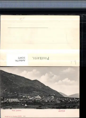 312472,Trentino Trento Levico Vista generale Totale pub Stengel e Co 5247
