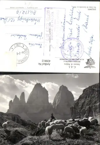420812,Trentino Bolzano Rifugio Locatelli b. Sexten Tre Cime di Lavaredo Hirte Schäfer Bergkulisse