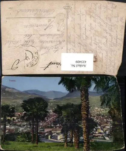 435409,Trentino Trento Trient Totale Palmen