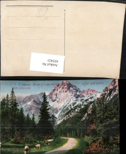 435421,Trentino Trento Alto Trentino Dolomite Strada la Croda Rossa Bergkulisse