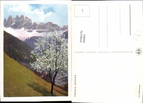 446867,Trentino Bolzano Villnöstal b. Villnöß Bergkulisse Baumblüte pub SOS-Kinderdorf 1euro65