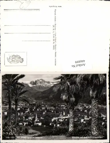 446899,Trentino Bolzano Bozen Totale m. Rosengarten Bergkulisse Palme