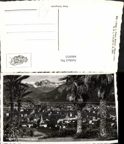 446935,Trentino Bolzano Bozen Gries Totale Bergkulisse Palmen