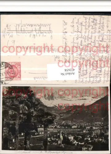 472658,Trentino Bolzano Bozen Totale m. Rosengarten Palmen Bergkulisse
