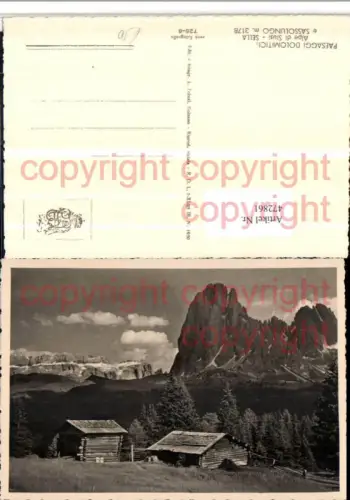 472861,Trentino Trento Alpe di Siusi Sella e Sassolungo Bergkulisse