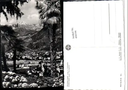 494194,Trentino Bolzano Bozen Gries geg. Rosengarten Catinaccio Totale Palmen