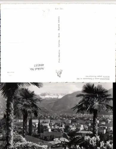 494337,Trentino Bolzano Bozen geg. Rosengarten Catinaccio Teilansicht Palmen