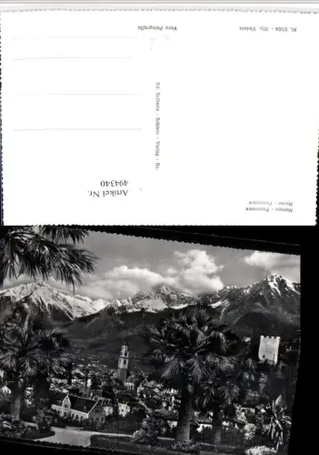 494340,Trentino Bolzano Merano Meran Panorama Teilansicht Palmen Bergkulisse