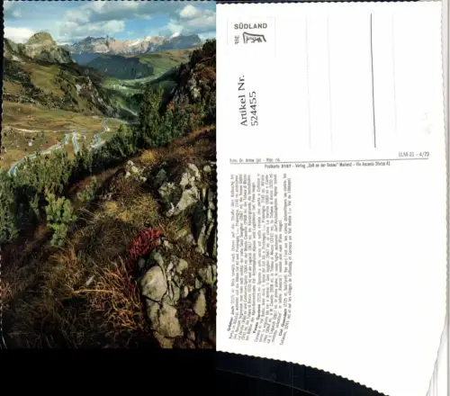 524455,Trentino Bolzano Grödener Joch b. Kolfuschg Straße Bergkulisse