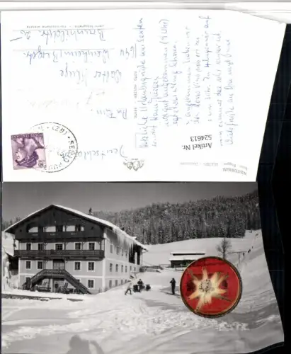 524613,Trentino Bolzano Sexten Inner-Roggen Winterheim Echtes Edelweiß