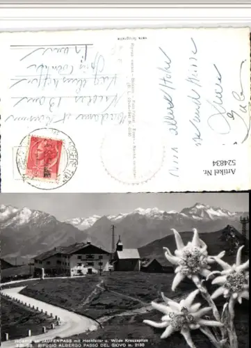 524834,Trentino Bolzano Passo Giovo Jaufenpass Bergkulisse Edelweiß