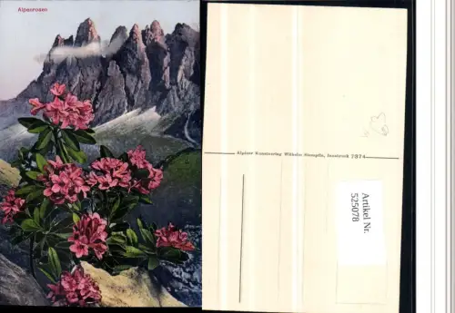 525078,Trentino Bolzano Alpenrosen Dolomiten Rosen Sexten
