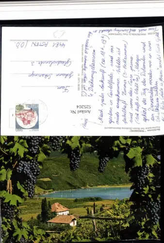 525204,Trentino Bolzano Kaltersee Ringberg Bozen Wein Weintrauben Alkohol