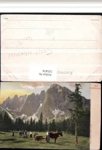 525474,Trentino Bolzano Confinboden b. Gröden St. Ulrich Langkofel Kühe pub Amonn P 61