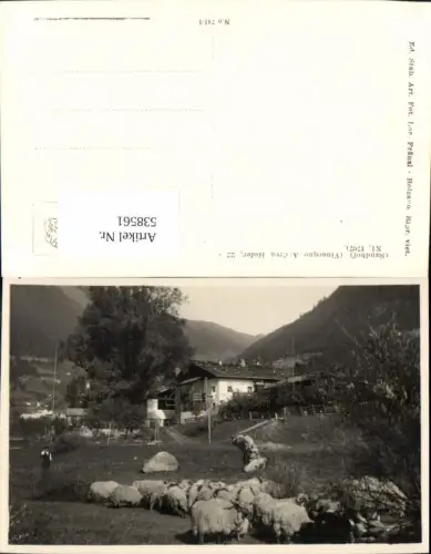 538561,Trentino Bolzano Sandhof bei Meran Merano Andreas Hofer Haus