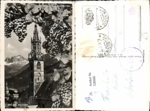 538666,Trentino Bolzano Bozen Wein Weintrauben