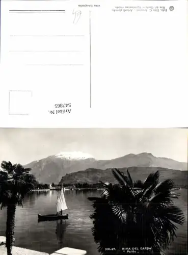547865,Trentino Trento Lago di Garda Gardasee Riva del Garda Ufer Boot Palme