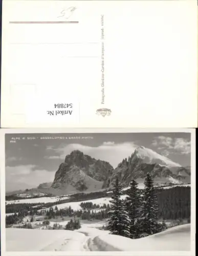 547884,Trentino Bolzano Alpe di Siusi Seis am Schlern Sassolungo Gröden