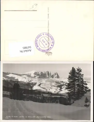 547885,Trentino Bolzano Alpe di Siusi Seis am Schlern