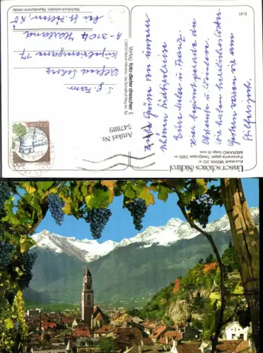 547889,Trentino Bolzano Meran Merano Trauben Wein Weintrauben