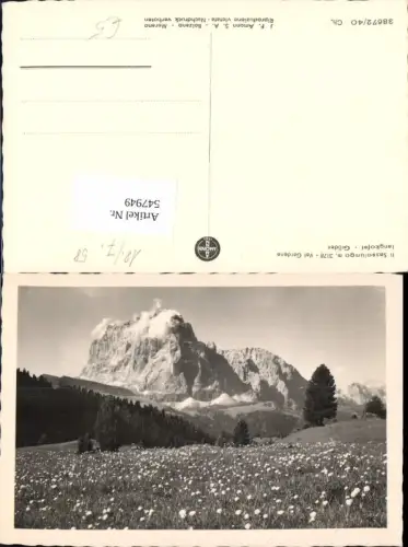547949,Trentino Bolzano Foto-AK Gröden St. Ulrich Langkofel Dolomiten