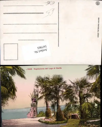 547965,Trentino Bolzano Lago di Garda Gardasee Vegetazione