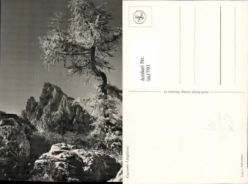 561791,Trentino Bolzano Kleiner Lagazuoi Cortina Sexten