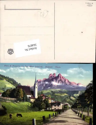 564876,Trentino San Martino di Castrozza Fiera di Primiero con Sass Maor
