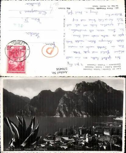570456,Trentino Trento Gardasee Lago di Garda Torbole Katus Kakteen