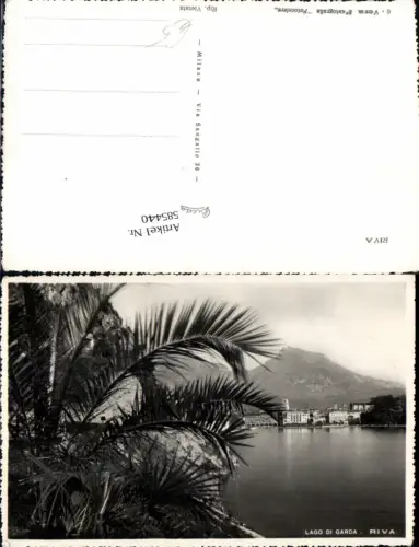 585440,Trentino Trento Lago di Garda Gardasee Riva